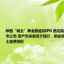 陕西“链主”泰金新能拟IPO 西北院再添一家上市公司 资产负债率高于同行,募投项目未拿到土地使用权