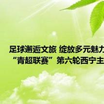 足球邂逅文旅 绽放多元魅力 ——“青超联赛”第六轮西宁主场见闻