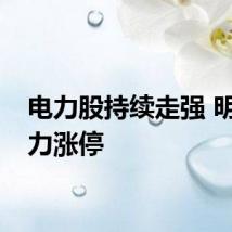 电力股持续走强 明星电力涨停