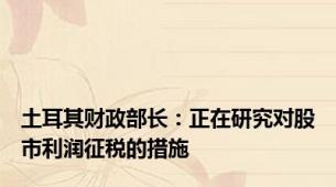 土耳其财政部长：正在研究对股市利润征税的措施