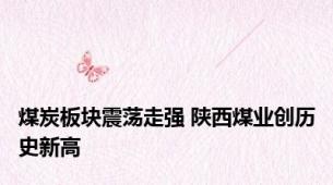 煤炭板块震荡走强 陕西煤业创历史新高