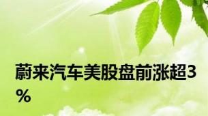 蔚来汽车美股盘前涨超3%
