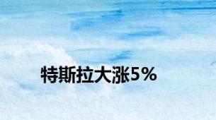 特斯拉大涨5%