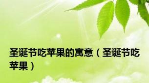 圣诞节吃苹果的寓意（圣诞节吃苹果）