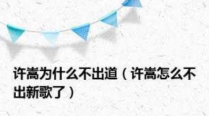 许嵩为什么不出道（许嵩怎么不出新歌了）