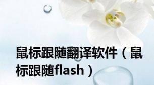 鼠标跟随翻译软件（鼠标跟随flash）