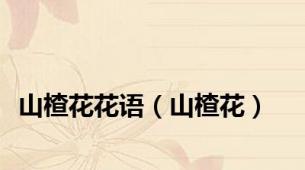 山楂花花语（山楂花）