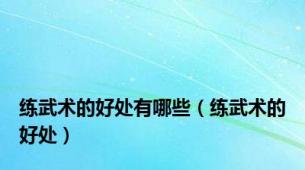 练武术的好处有哪些（练武术的好处）
