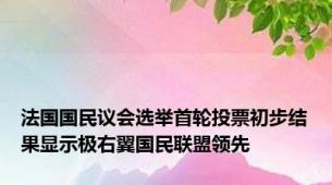 法国国民议会选举首轮投票初步结果显示极右翼国民联盟领先