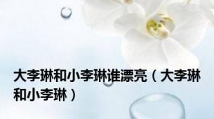 大李琳和小李琳谁漂亮（大李琳和小李琳）