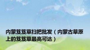 内蒙芨芨草扫把批发（内蒙古草原上的芨芨草最高可达）