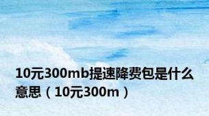 10元300mb提速降费包是什么意思（10元300m）