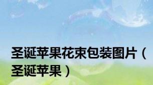 圣诞苹果花束包装图片（圣诞苹果）