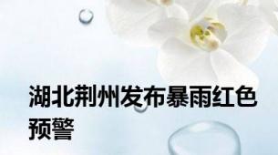 湖北荆州发布暴雨红色预警