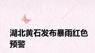 湖北黄石发布暴雨红色预警