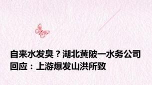 自来水发臭？湖北黄陂一水务公司回应：上游爆发山洪所致
