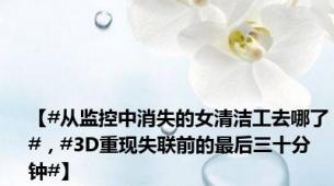【#从监控中消失的女清洁工去哪了#，#3D重现失联前的最后三十分钟#】