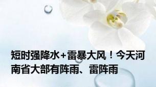 短时强降水+雷暴大风！今天河南省大部有阵雨、雷阵雨