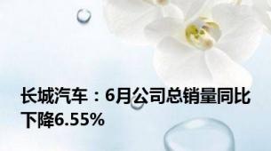 长城汽车：6月公司总销量同比下降6.55%