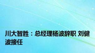 川大智胜：总经理杨波辞职 刘健波接任