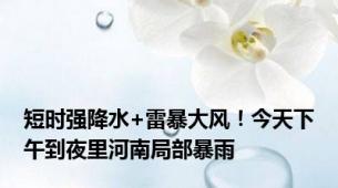 短时强降水+雷暴大风！今天下午到夜里河南局部暴雨