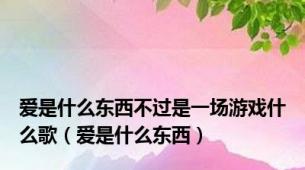 爱是什么东西不过是一场游戏什么歌（爱是什么东西）