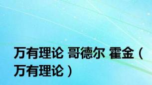 万有理论 哥德尔 霍金（万有理论）