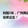 时隔5年，广州再迎熊猫幼崽出生！