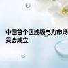 中国首个区域级电力市场管理委员会成立