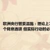 欧洲央行管委温施：理论上7月是一个降息选项 但实际行动时必须谨慎