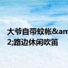 大爷自带蚊帐&#32;路边休闲吹笛