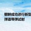 朝鲜成功进行新型战术弹道导弹试射