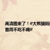 高清图来了！#大熊猫妈妈带娃首周不吃不喝#