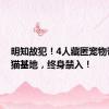 明知故犯！4人藏匿宠物带入熊猫基地，终身禁入！
