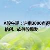 A股午评：沪指3000点得而复失 信创、软件股爆发