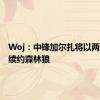 Woj：中锋加尔扎将以两年合同续约森林狼
