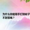 为什么你能用手打到蚊子，却打不到苍蝇？