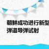 朝鲜成功进行新型战术弹道导弹试射