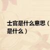 士官是什么意思（士官是什么）