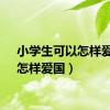 小学生可以怎样爱国（怎样爱国）