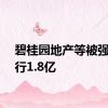 碧桂园地产等被强制执行1.8亿
