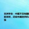 非洲学者：中国不仅向国际社会贡献准则，还给各国提供机会进行自强