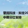 肇民科技：拟定2024年中期分红安排