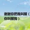 谢谢你把我叫醒（谢谢你叫醒我）
