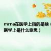 mrna在医学上指的是啥（mrna医学上是什么意思）