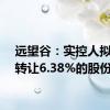远望谷：实控人拟协议转让6.38%的股份