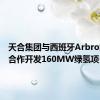 天合集团与西班牙Arbro集团将合作开发160MW绿氢项目
