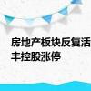 房地产板块反复活跃 荣丰控股涨停