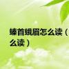螓首蛾眉怎么读（螓怎么读）