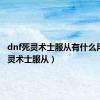 dnf死灵术士服从有什么用?（死灵术士服从）